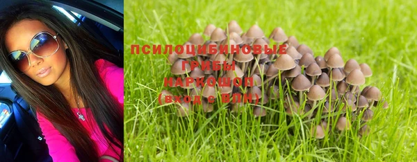 меф Осташков