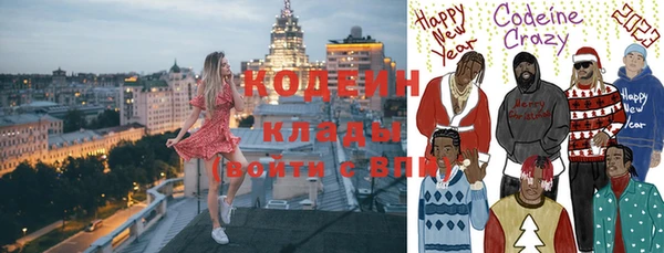 хмурый Осинники
