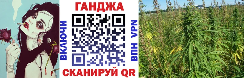 Марихуана OG Kush Луга
